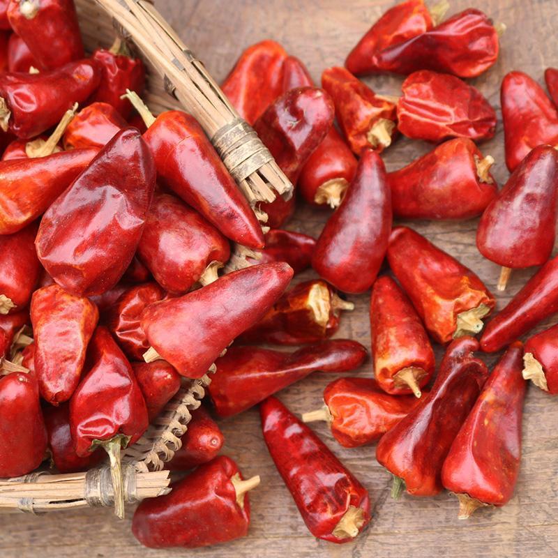 中国最辣的辣椒出自贵州吗,四川最辣的辣椒是什么