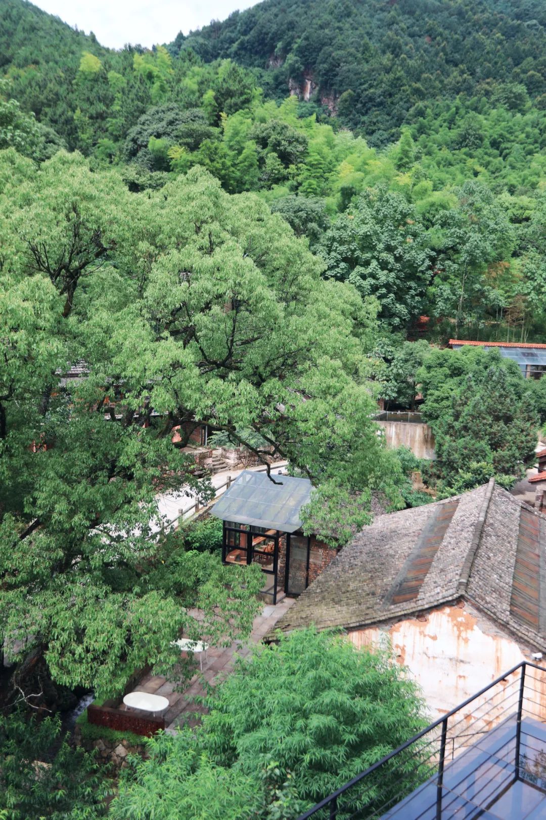 隐居酒店浙江,金华梧杉隐居民宿酒店