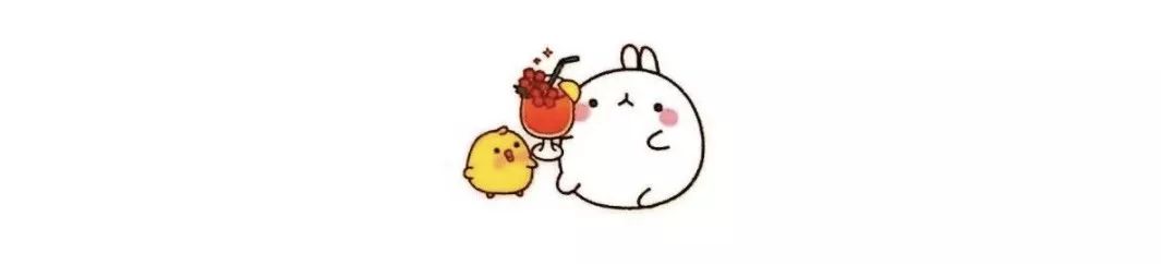 养猫必备猫咪绝育全攻略,新手养猫绝育攻略