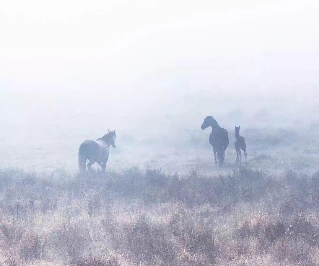 兼职老师暑假社会实践体会,暑假兼职应该什么时候找是最好的