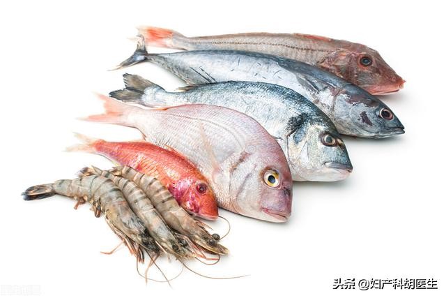 孕期用三文鱼补充蛋白质可以吗,孕妇吃多少深海鱼代替dha