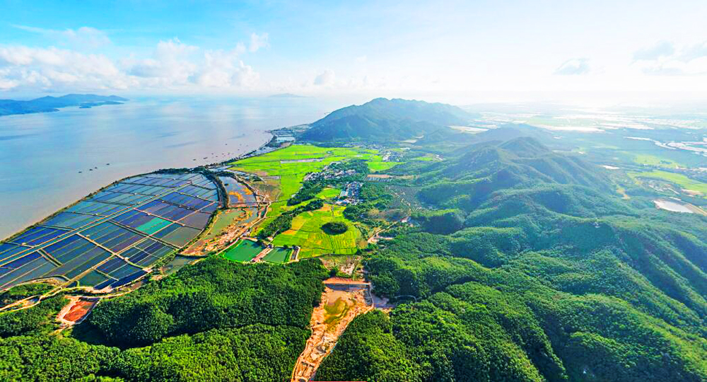 广东省七普,广东台山市各镇排名