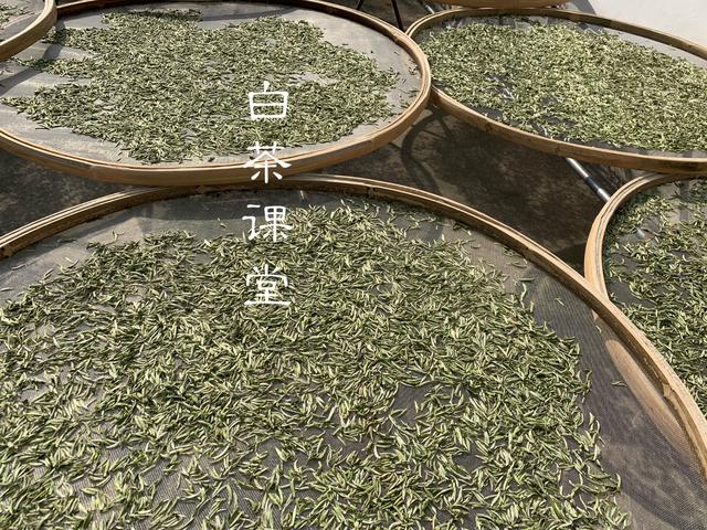 看完这六个问题你还敢迷茫吗,看完这六个问题你还再迷茫吗