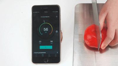 正品不锈钢菜板价格京东,德国双面316不锈钢食品级菜板