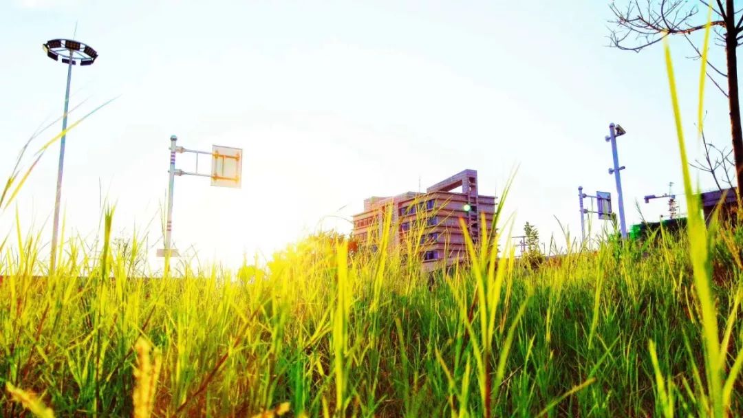 忘了ta吧原版视频,忘了ta吧