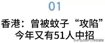 登革热夺走20多条生命,登革热是典型的儿童疾病吗