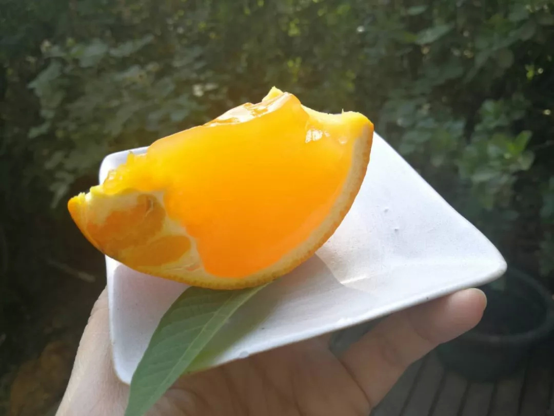 这款在日本京都火了上百年的治愈小甜品，在家十分钟就能做出来