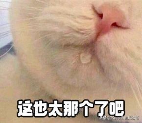 给自己定个小目标瘦到115斤,给自己一个机会年前瘦20斤