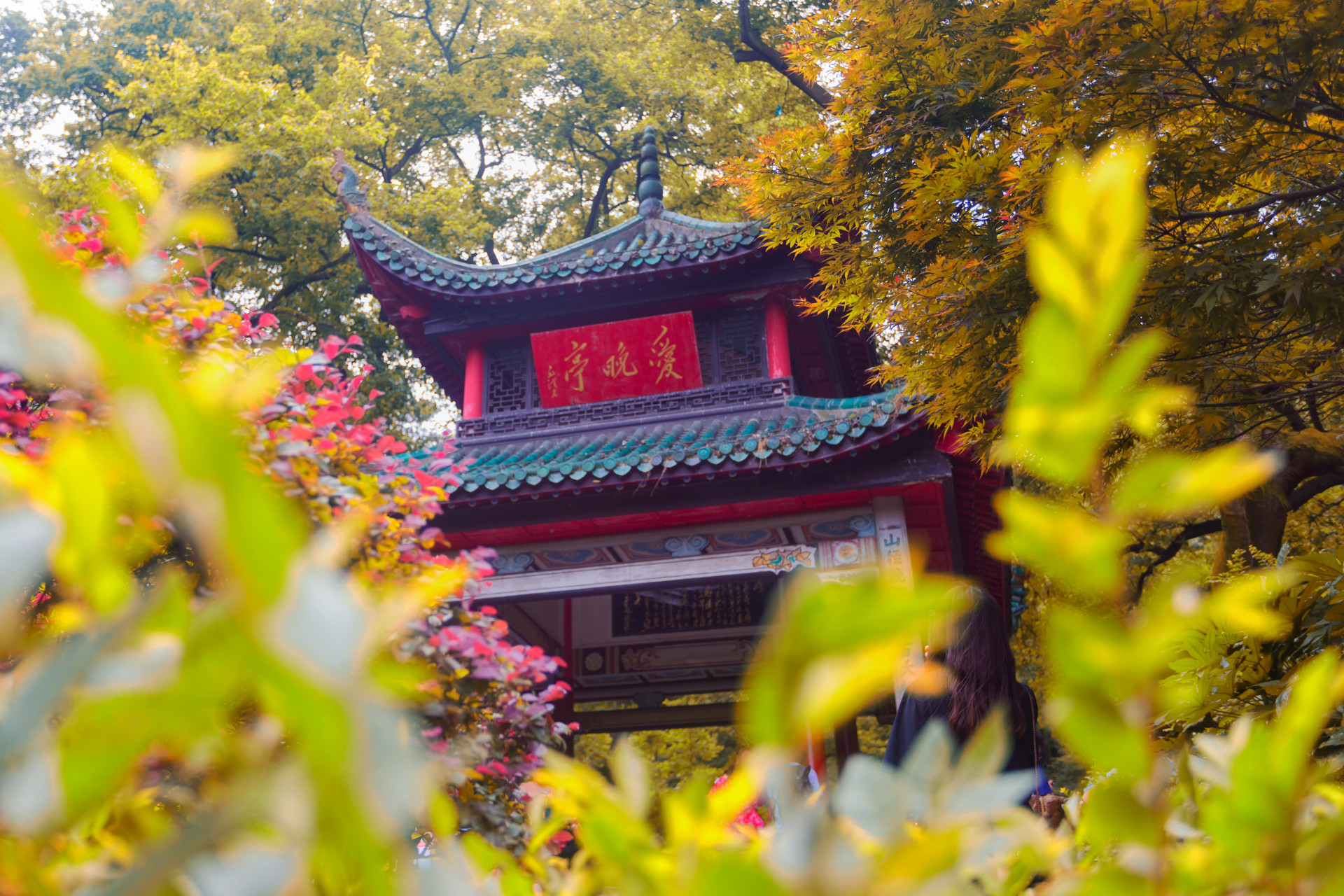 描写春天的诗词100首,自创春天现代诗词100首