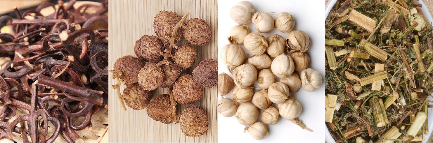 熬中药有先煎和后煎怎么熬,中药有先煎后下的怎么个煎法