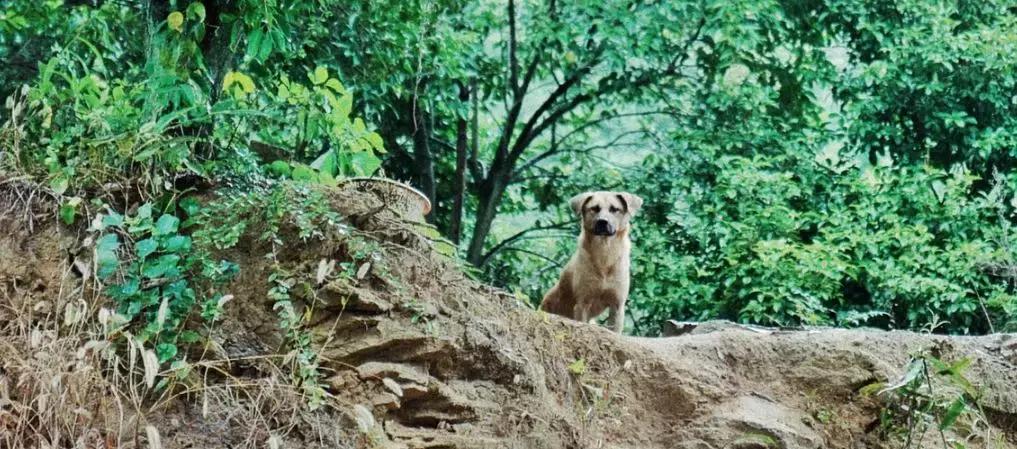 绍兴新昌一日游最佳景点,知否新昌取景地