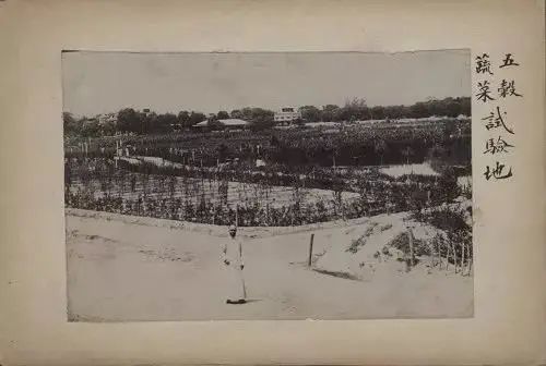 北京动物园园林介绍,北京动物园全景简介