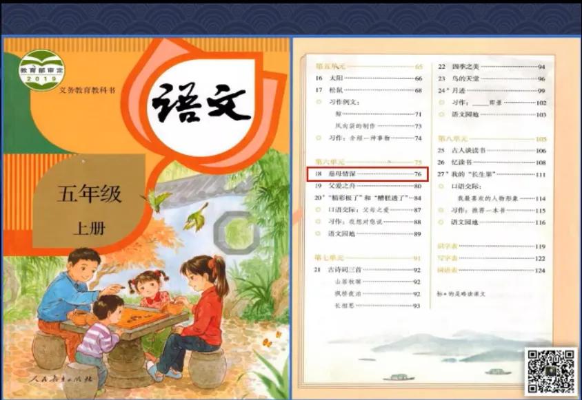 特级教师王崧舟教学视频,王崧舟老师《慈母情深》