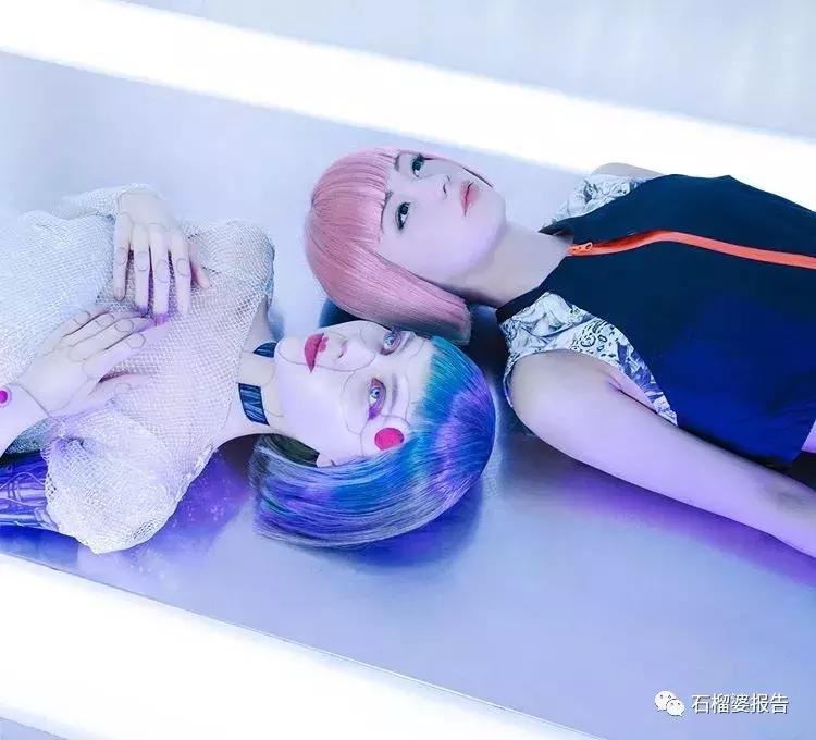 会不会有一天，她们成为我们的一员