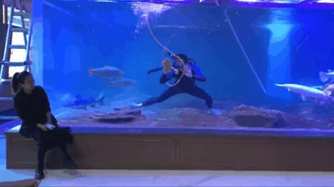 分享创富最佳方法,分享快速致富好项目