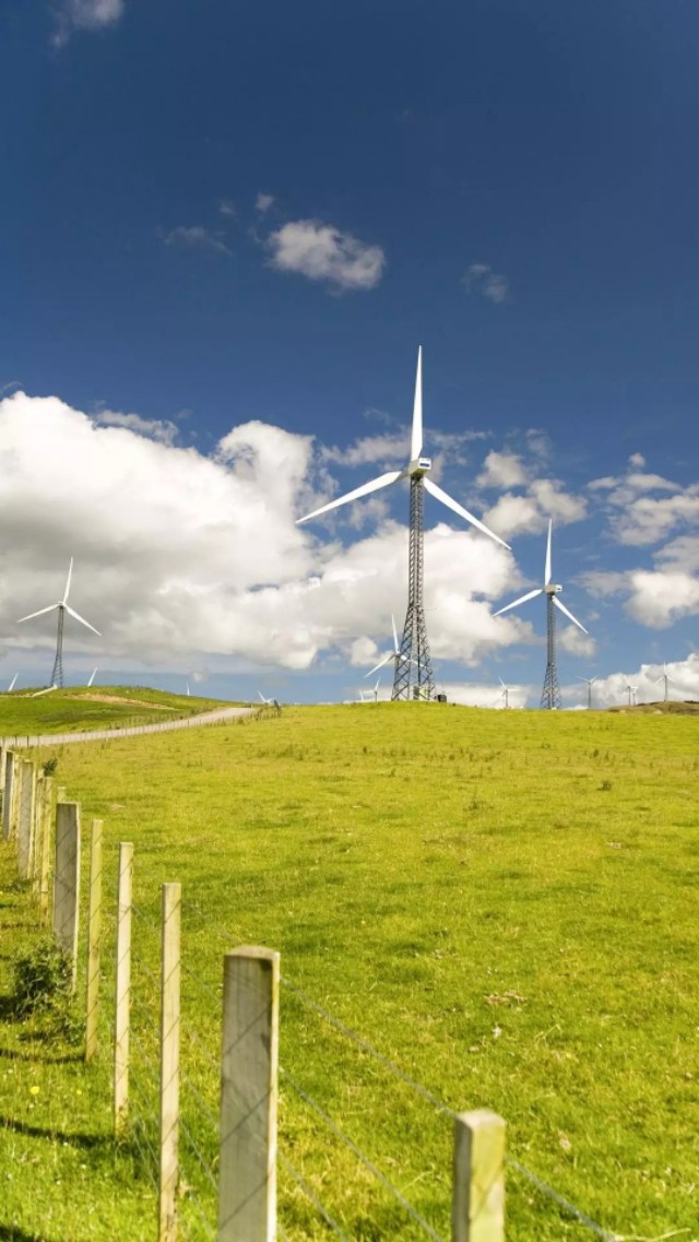 风车壁纸动态壁纸高清全屏90帧,努力赚钱吧手机壁纸图