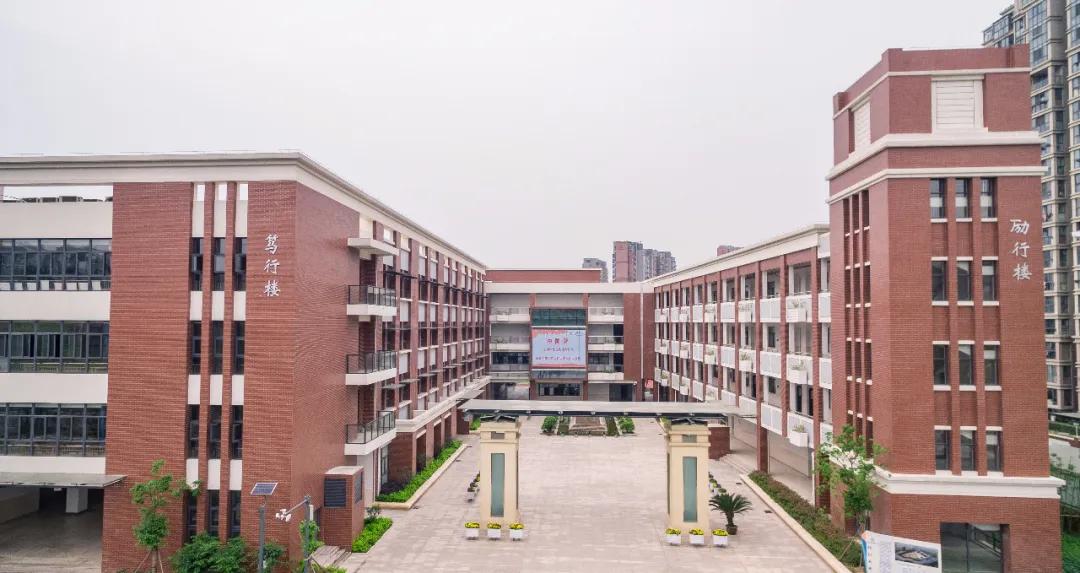 南师附小有多强,雨花南师附小