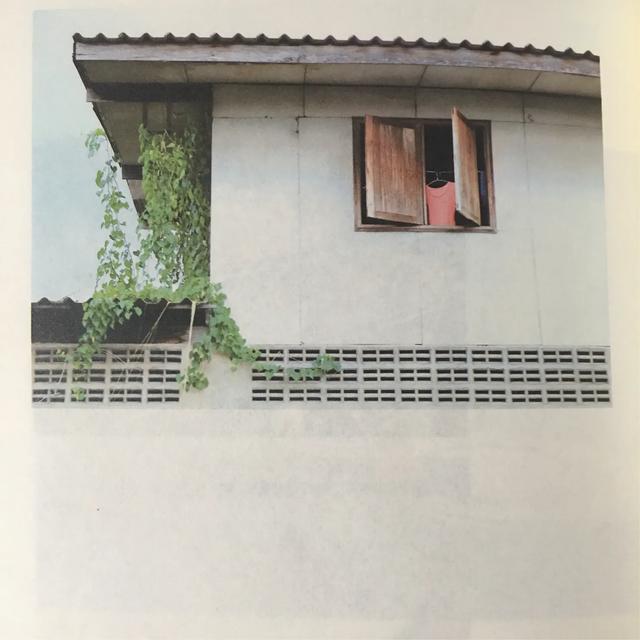 刘同对于孤独的理解,你的孤独虽败犹荣刘同