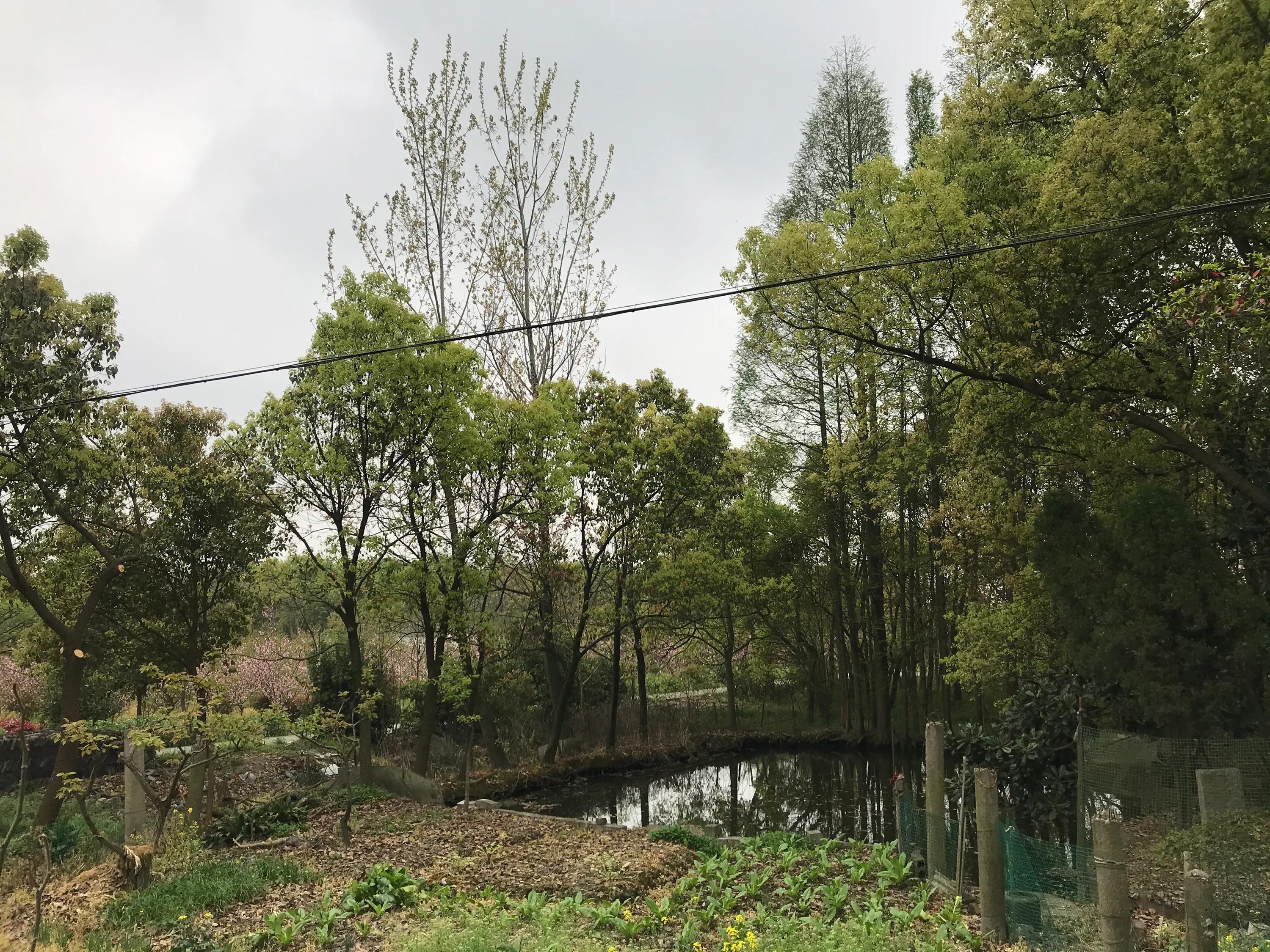 苏州吴江震泽八都,吴江区震泽八都贯桥社区