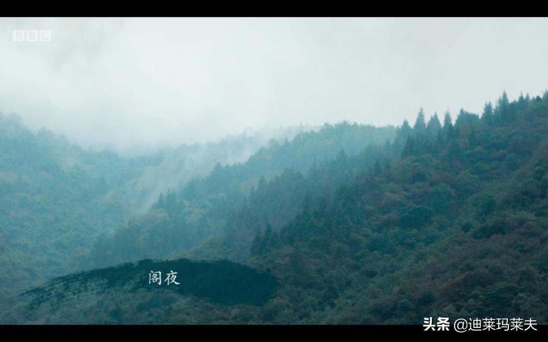 bbc评价杜甫诗词,ohmygodbbc杜甫纪录片中英双语