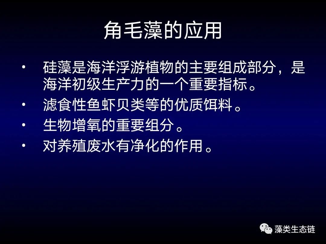 藻类培养课程视频教程,海南藻类生态链