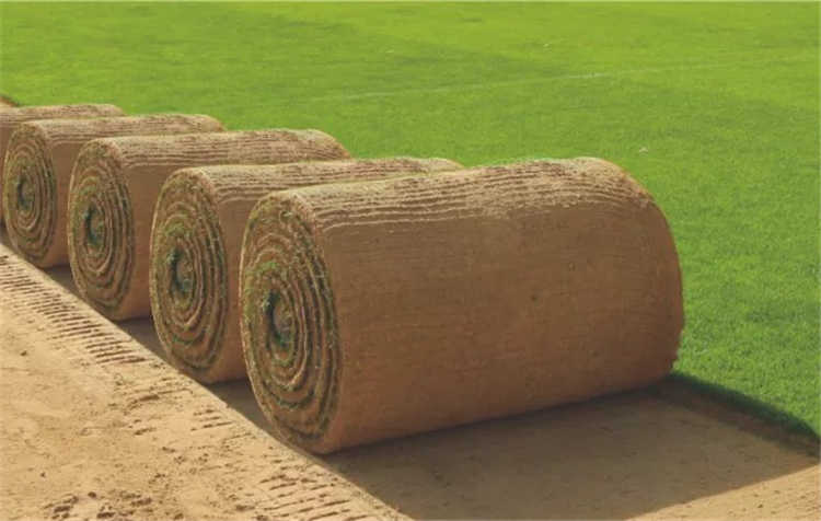 激情全运会烽烟燃起，超卓绿京华倾心助力