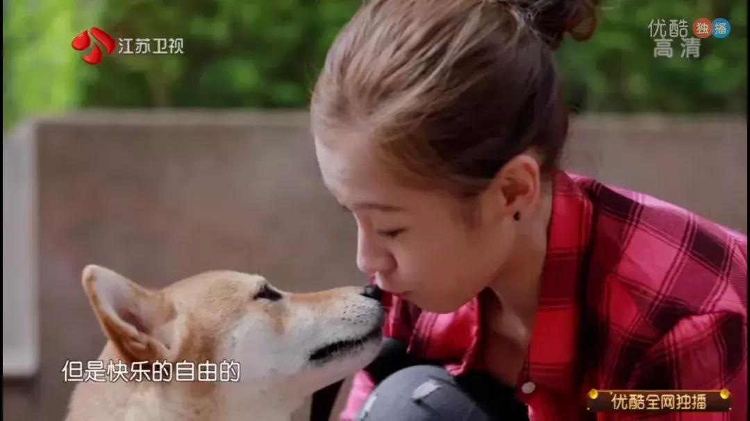 香港最美搬运工现在如何,香港最美搬运工叫什么名字