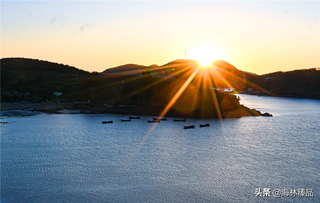 野生海参探店,野生海参采捕视频大全