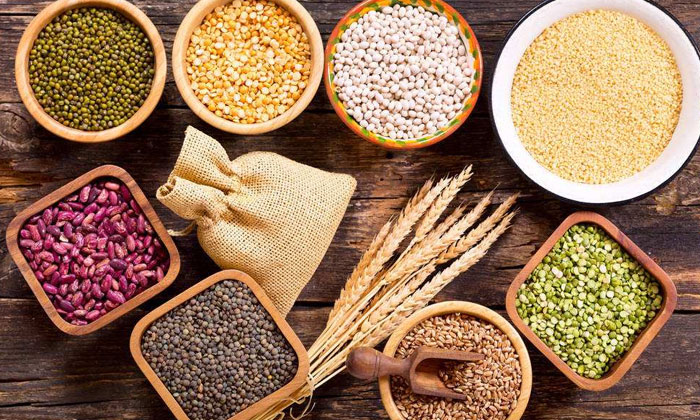 白酒生产技术及疑难问题解决方案,酿酒苦的原因和解决方法