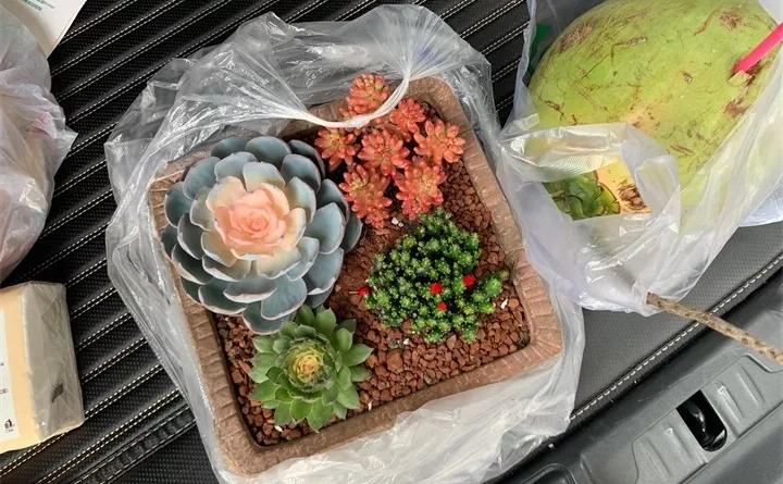 刚到家的花很好没多久就黄叶,买回来的花很快就蔫的原因