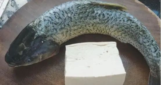 草鱼清炖豆腐最简单做法大全,豆腐炖草鱼块汤的家常做法大全