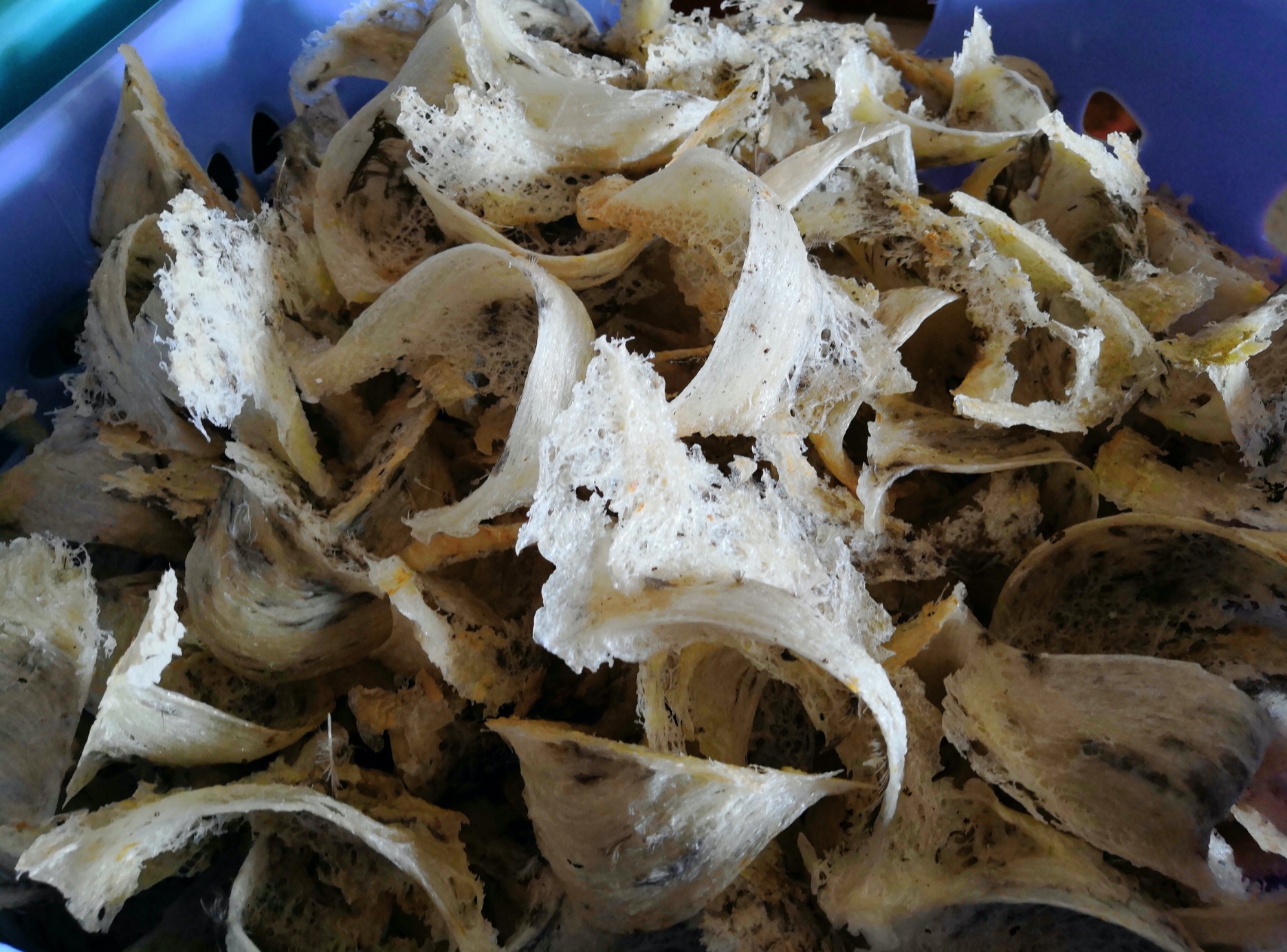 老婆怀孕我去照顾她家,老婆怀孕了我在外面打工