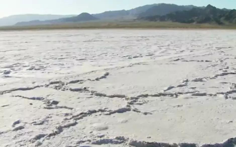 观赏鱼换水要不要加盐是食用盐吗,哪些观赏鱼不能使用杀菌盐