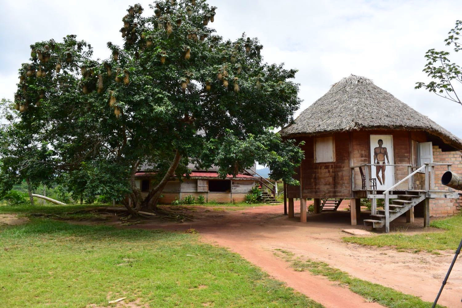 圭亚那：最令人绝望的国家，首任总统是华人，自杀率全球第一？