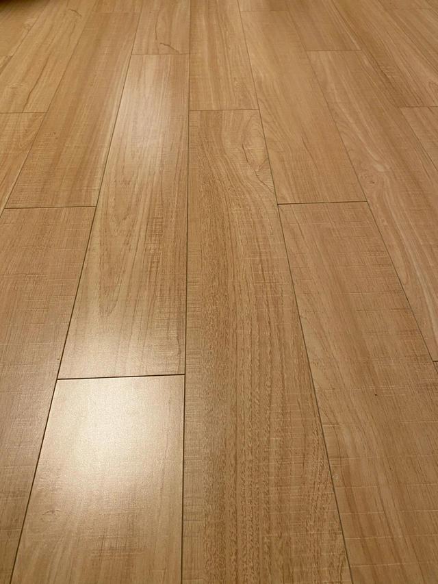 如何保证屋里没有灰尘毛絮,屋里到处飞的杨絮吸尘器