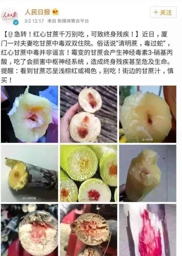 清明前最毒的食物是什么,清明后少吃三大食物