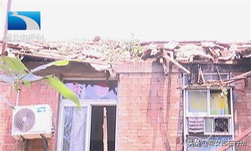 一场狂风骤雨,百年老树倒塌房屋被砸烂,我的房子该咋办?