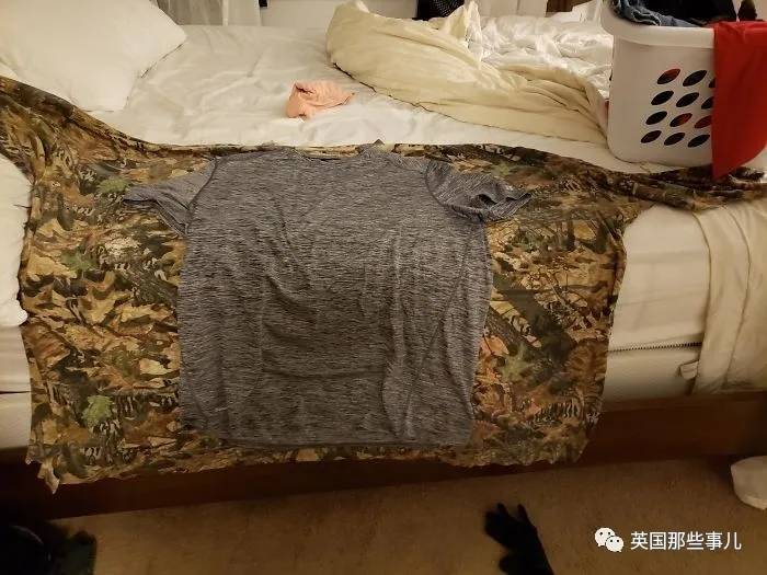 蓝鲸实拍有多大,蓝鲸到底有多大参照物