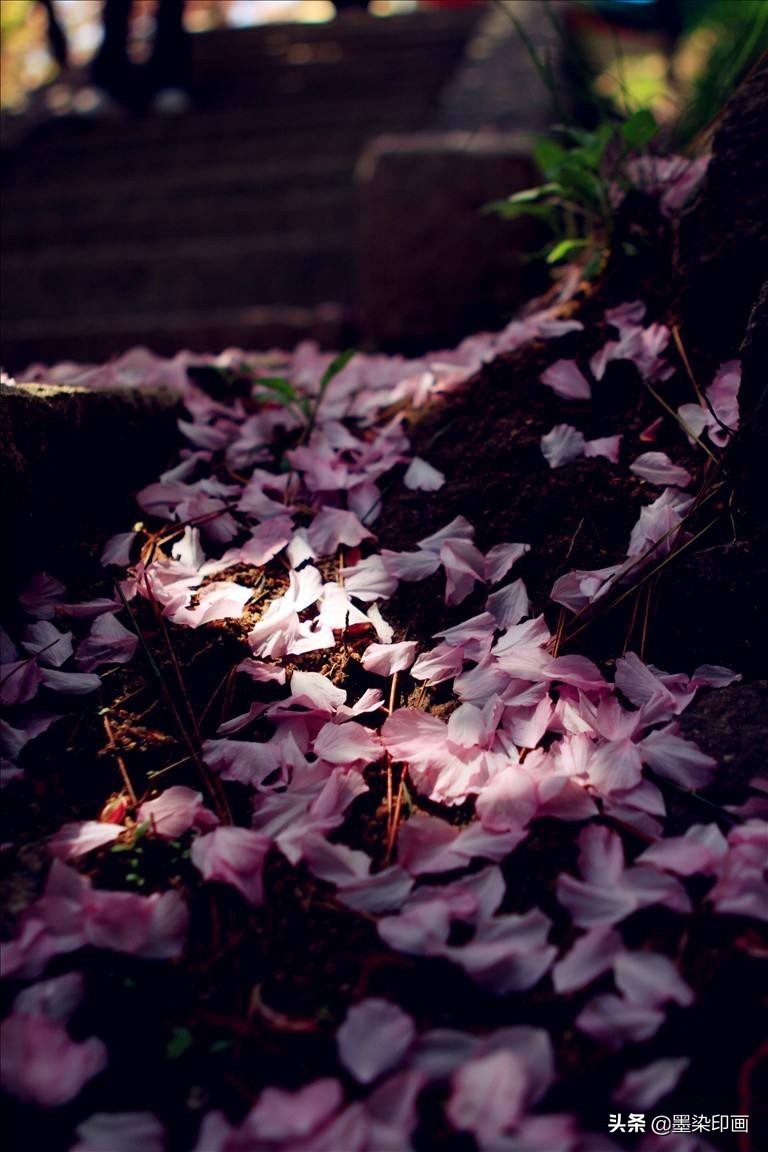 清明节拍摄风景图片,清明节全家踏青照片如何拍摄