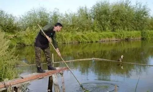 他在大理租下23个足球场大的地方，种菜、养牛、建农场日子过成诗