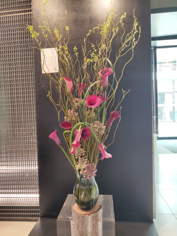 深圳免费花艺展,深圳花艺展