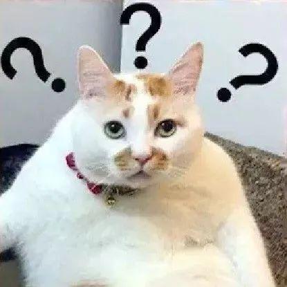 湘乡宝庆食府案,湘乡宝庆食府