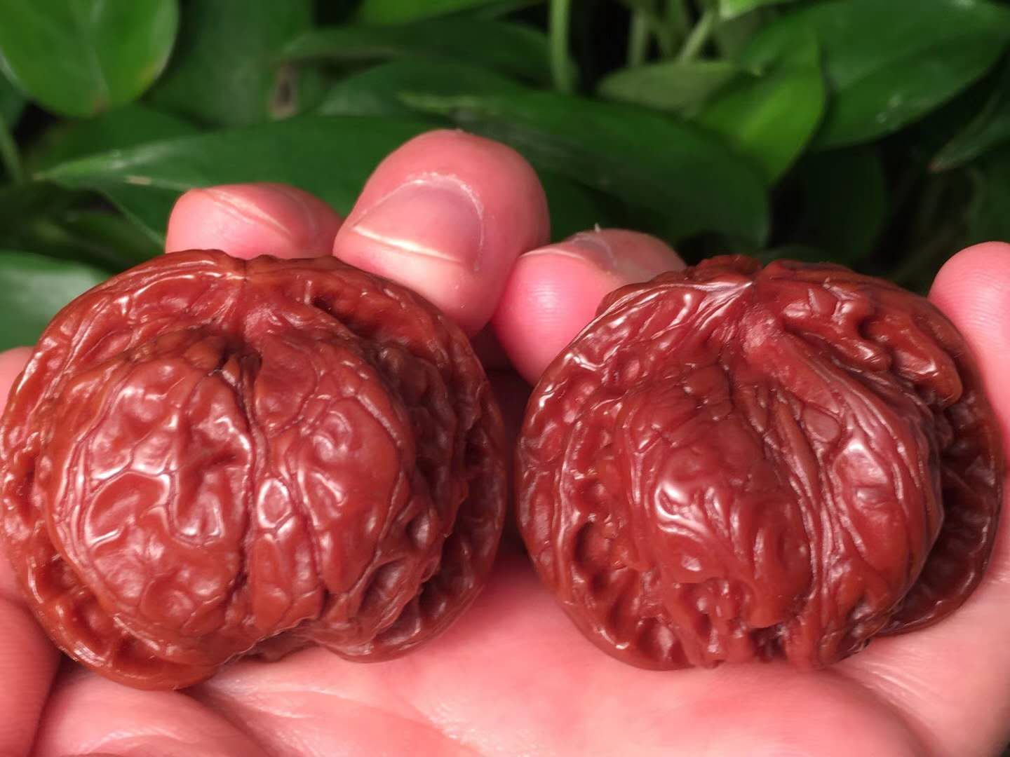 文玩核桃正确盘玩和保养方法,新入手文玩核桃需要入水吗