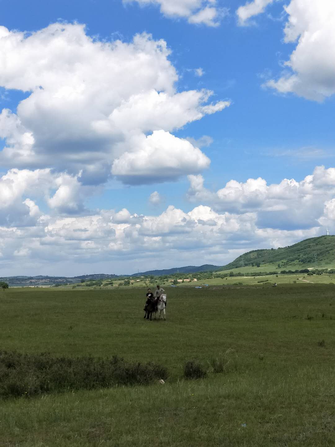 疫情期间如何出游,疫情期间怎样出去自驾游