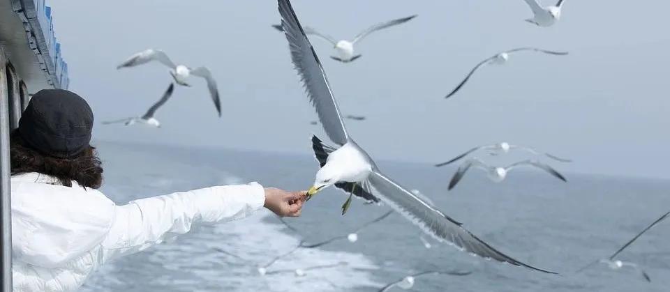 3年抗癌经验无私分享,脑转移后的生存期和治疗