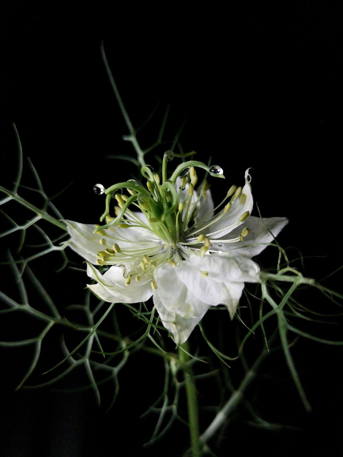 不争不抢却越过越好的星座,不争不抢心寡欲的星座