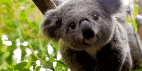 《人间尽兴清单》华姐的打开方式,你根本想不到