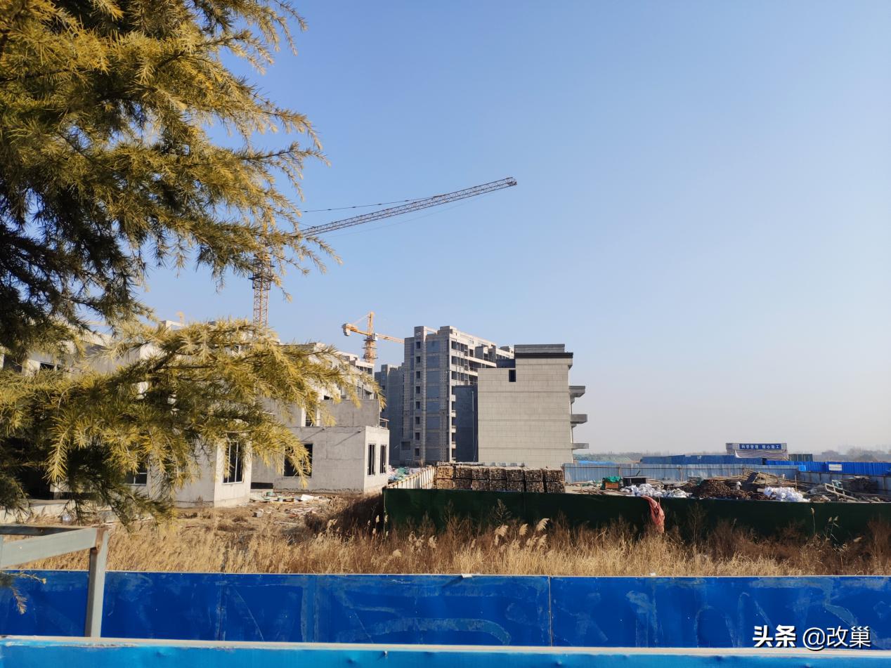 青岛胶州市少海协信天骄观澜合院,少海协信天骄观澜房价