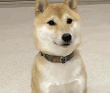 腕表行业,腕表数据分析