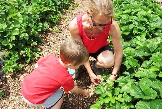 新西兰旅游攻略简介英文版,新西兰旅游在线申请攻略